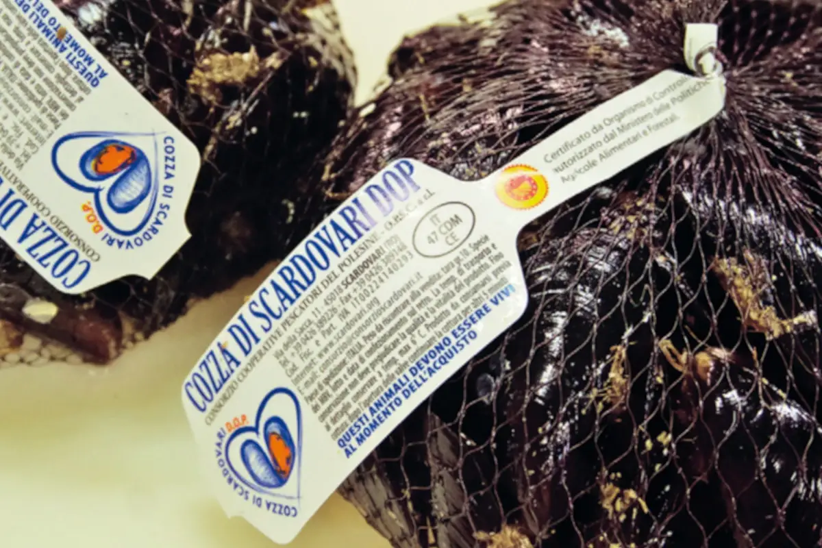 La Cozza di Scardovari &egrave; l&rsquo;unica cozza italiana a denominazione di origine protetta Quando la cozza &egrave; Dop arriva in cucina
